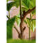Plantes et arbres en plastique vert 9,65 po