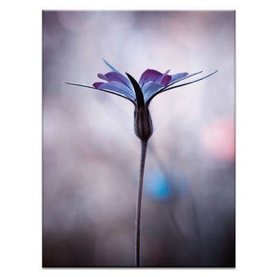 Print on Canvas