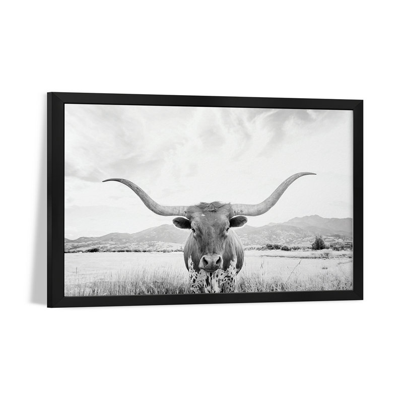 Affiches encadrées Longhorn