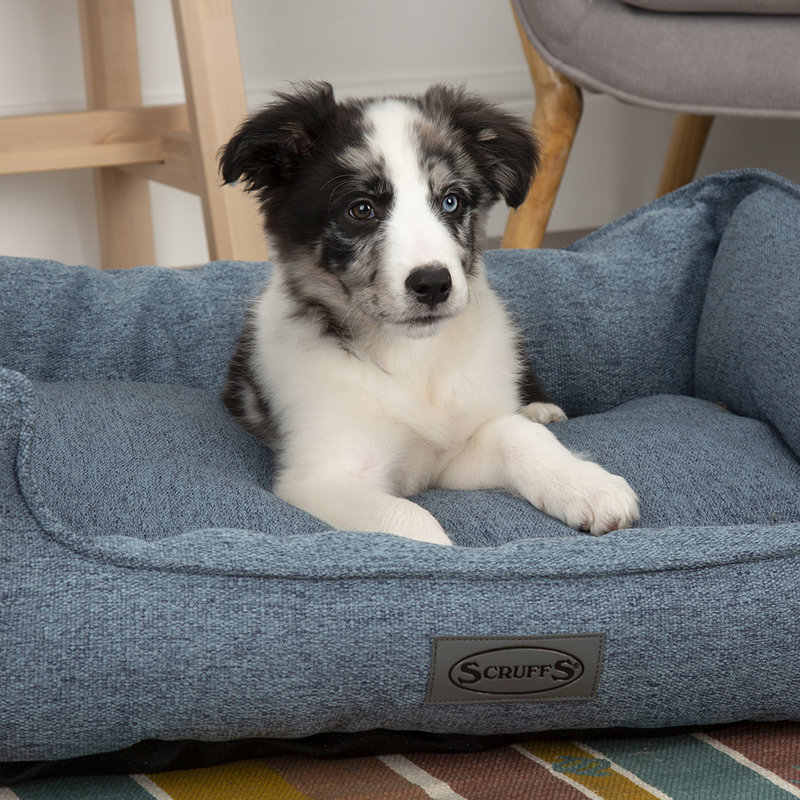 Polyester Pet Bed, Denim Blue, 17cm H x 50cm W x 40cm D