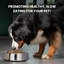 Bol anti-dérapant pour animaux de compagnie (2 bols)-44765021