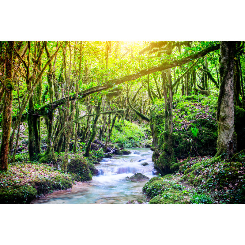 Beautiful Wild Fresh Water 1 Piece Wrapped Canvas Wall Art, 51cm H x 76cm W