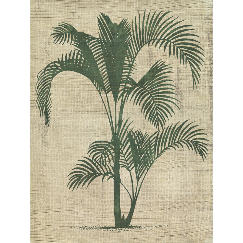 Tamarya Burlap Palm Silhouette II by June Erica Vess - Wrapped Canvas Print, 76 cm H x 51 cm W