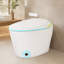 Toilette intelligente une pièce avec bidet, siège à fermeture automatique, sécheuse et eau chaude