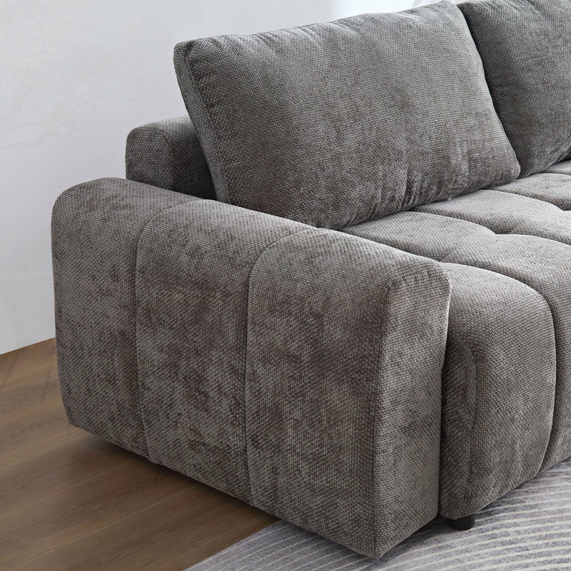 Latitude Run® 2 in 1 Pull Out Sleeper Sofa Couch Bed with Storage ...