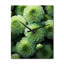 Horloge murale Gyra - Zinnias-798638458
