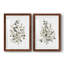 «Neutral Eucalyptus I», reproduction de cadre photo sur toile 2 pièces-661089217-661089223