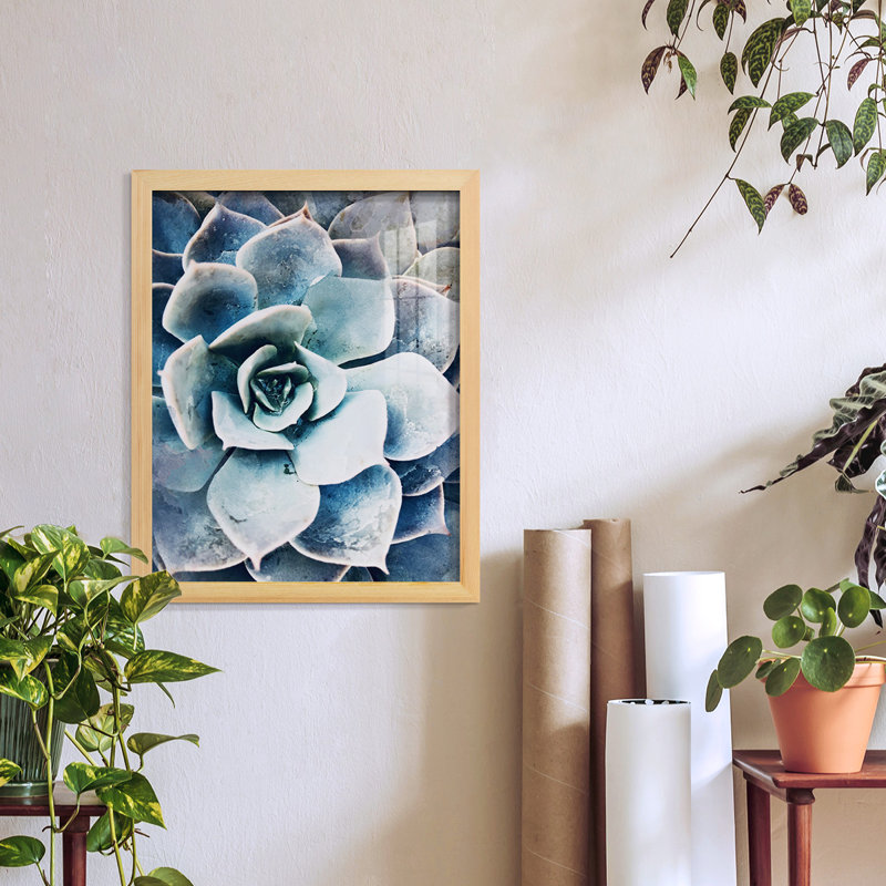 Pastel Succulent Beauty III, encadré sur papier, H 15 po x l 12 po x P 1 po, Naturel