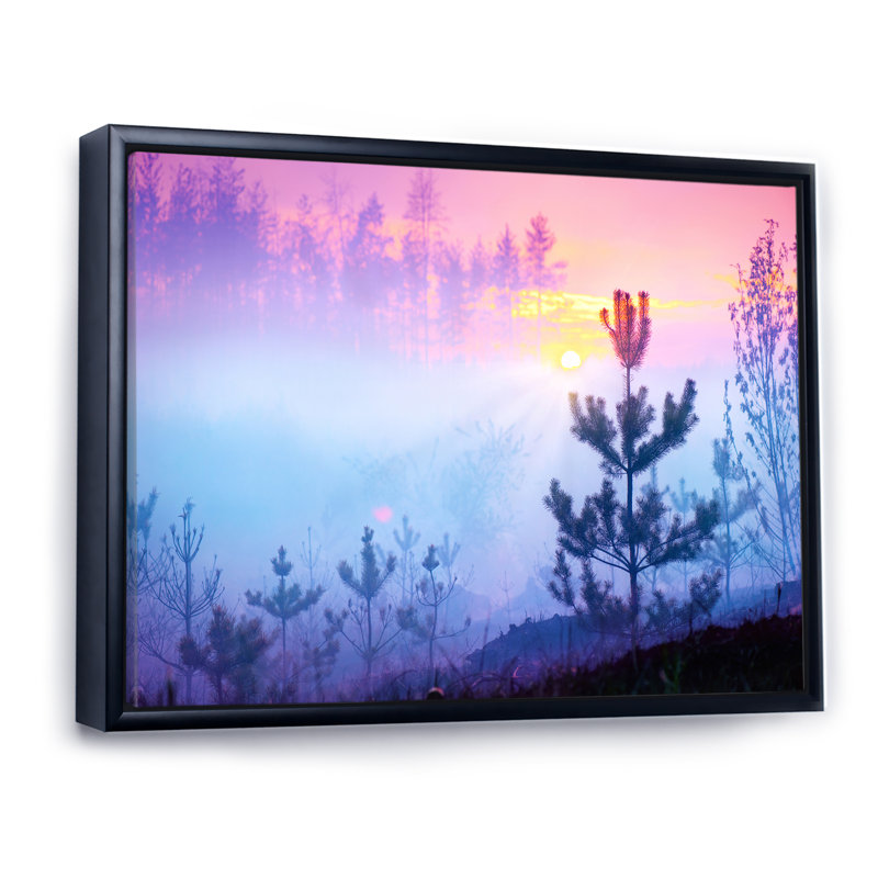 «Nature Sunrise Foggy Landscape», art mural sur toile traditionnel, H 24 po x l 36 po x P 1 po, Cadre flottant noir