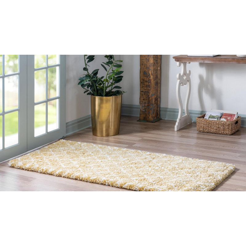 Burkart Shag Area Rug, Runner 79 x 305cm