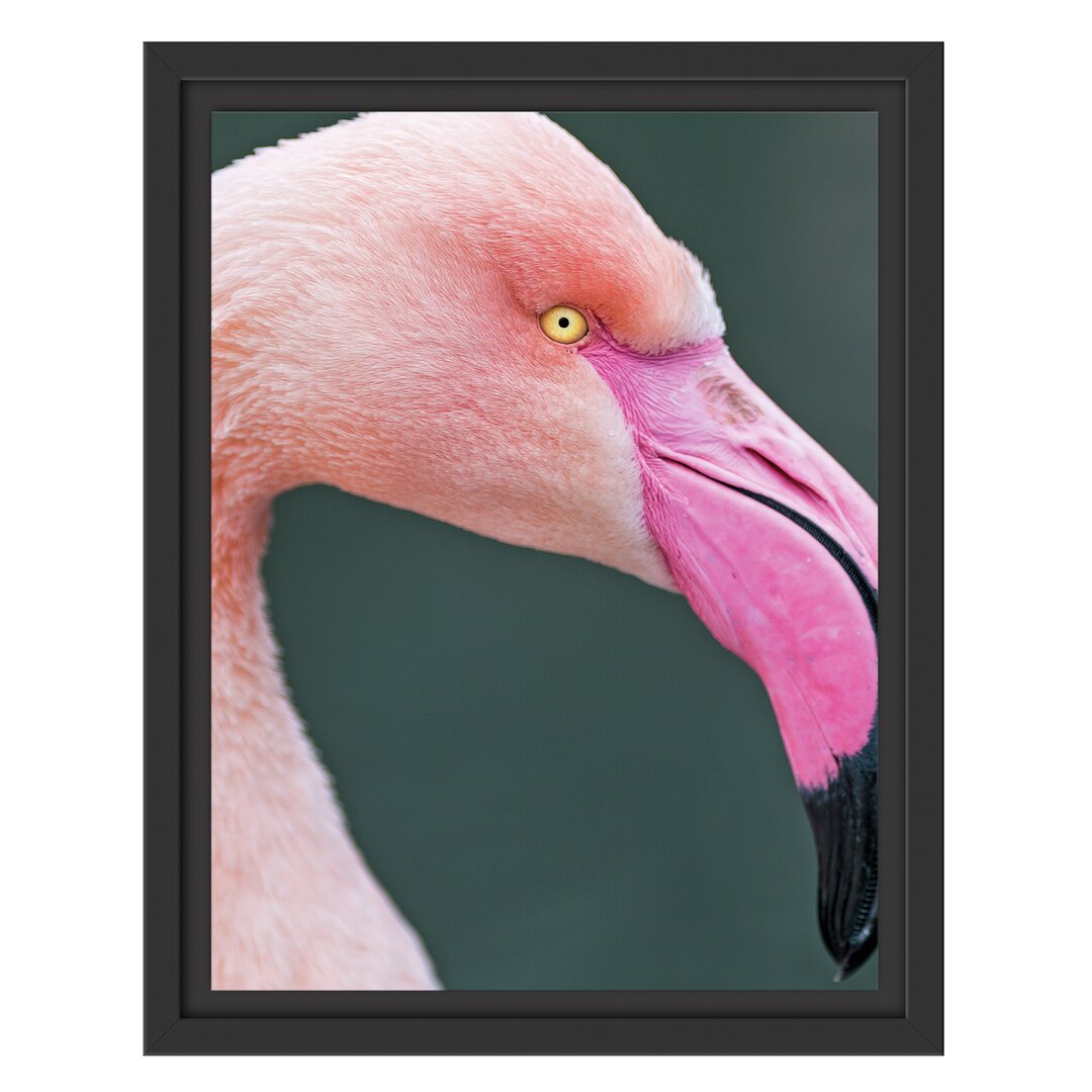 Gerahmtes Wandbild FlamingoSeitenprofil