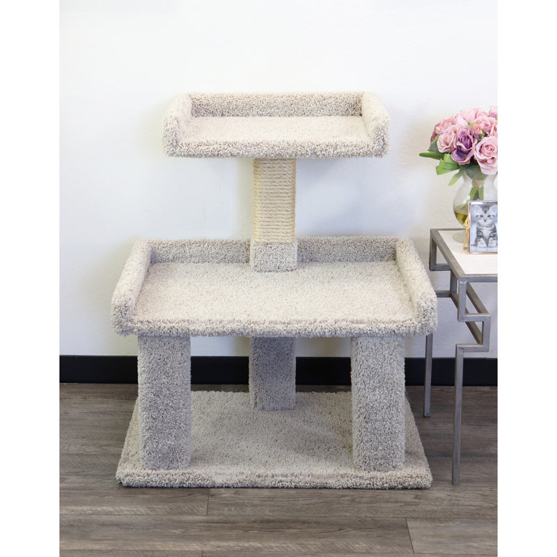  Maine Coon Perch?