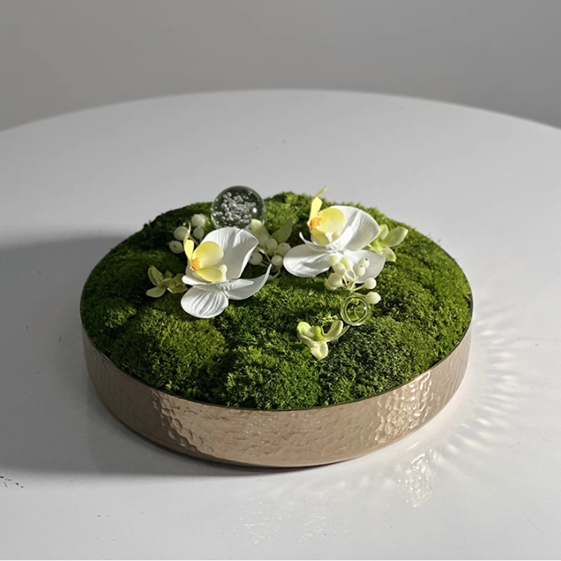 0'' Faux Fir Plant, L 10,24 po x P 10,24 po