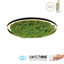 Ahlivia Not Applicable LED Flush Mount