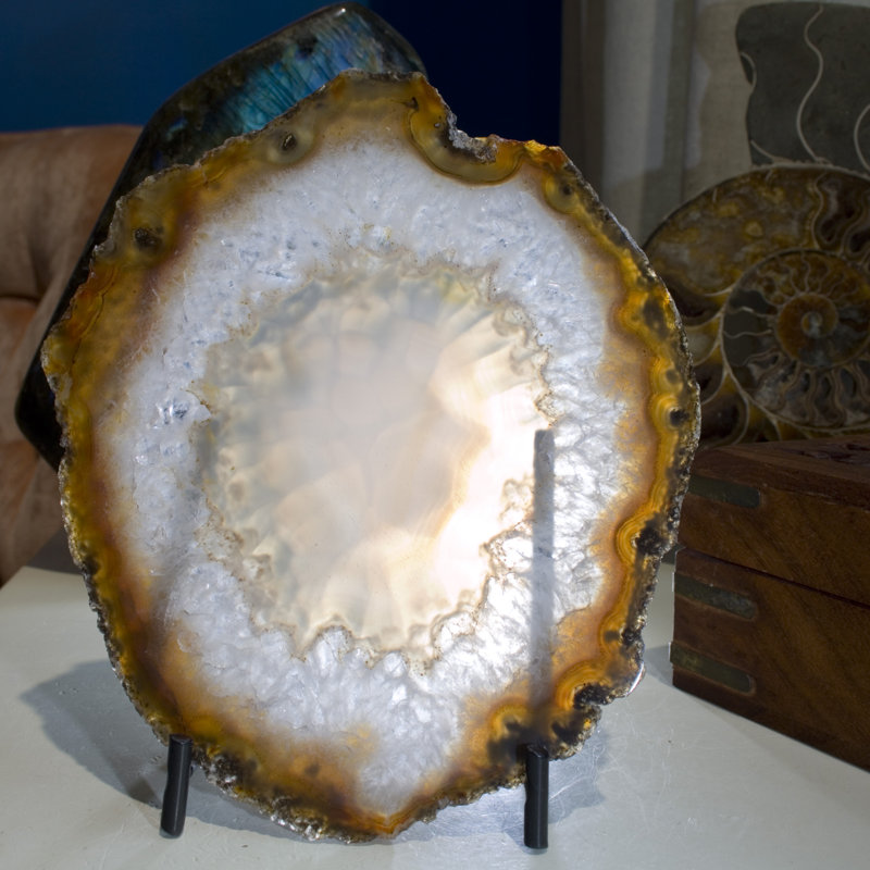 Picturesque Polished Thin Agate Plate