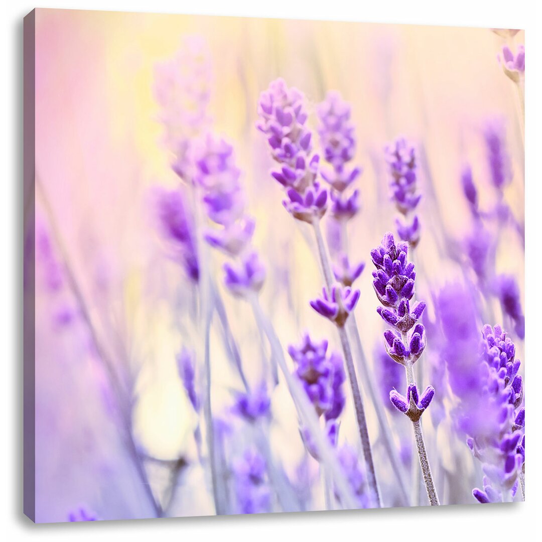 Leinwandbild Lavender Retro