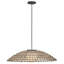 Luminaire suspendu Hinkley Arlen