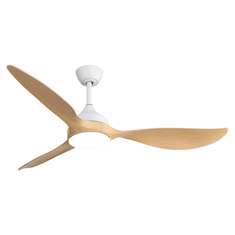 56 Inch Modern Ceiling Fans Dimmable LED Light Quiet DC Reversible Motor For Indoor & Outdoor