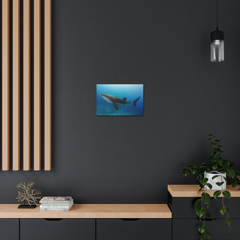 Art de requin baleine majestueux, impression d'art de requin baleine majestueux, H 12 po x l 18 po