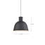 Irving 1 - Light Pendant-64113678-64125848