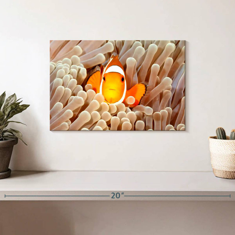 Clownfish Anemone, 8" H x 12" W