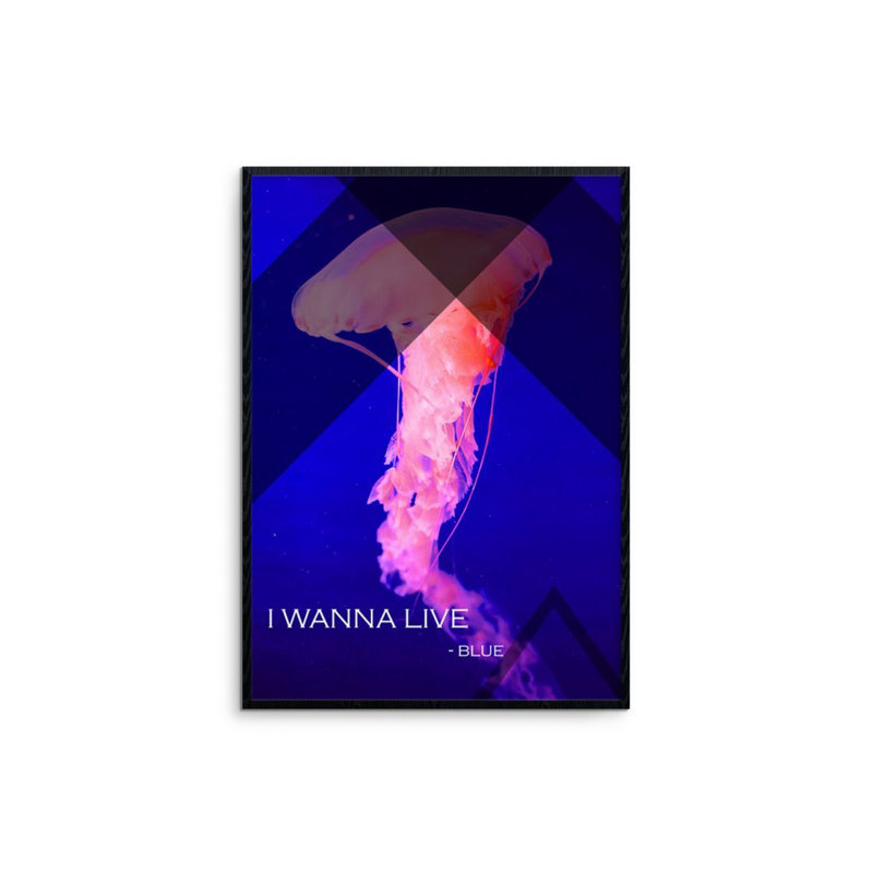 Bartosz Jasyk - Single Picture Frame Print