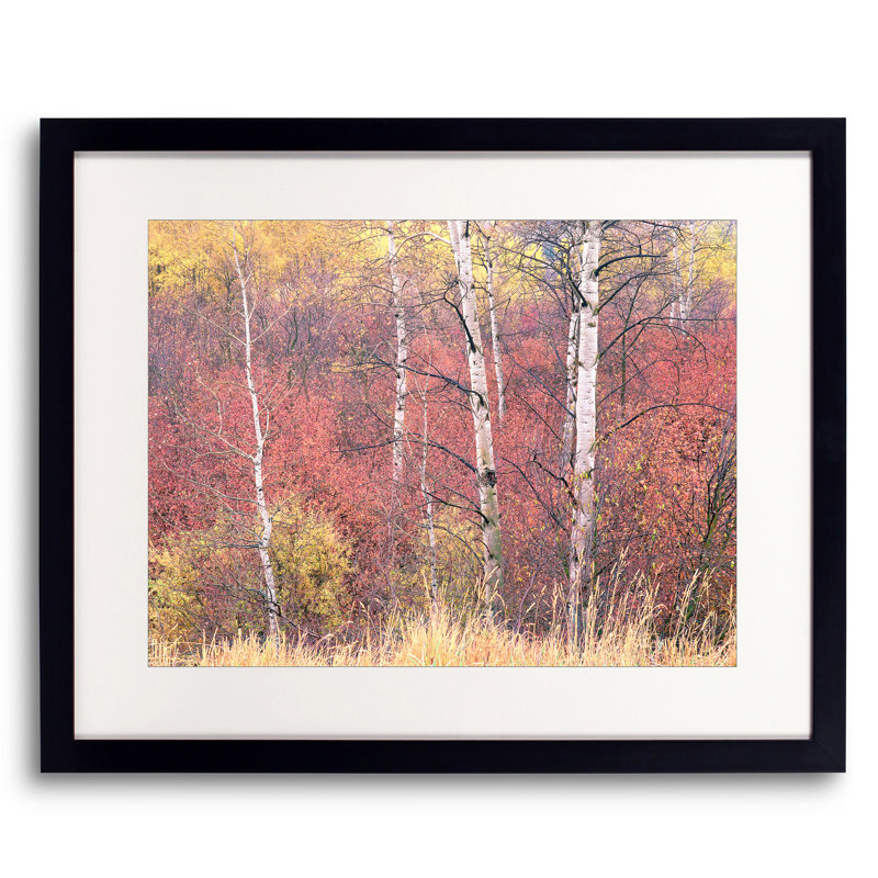 Swan Valley Autumn Portrait #3 Print by Bruce Heinemann, Black Framed Paper, White, 24" H x 30" W