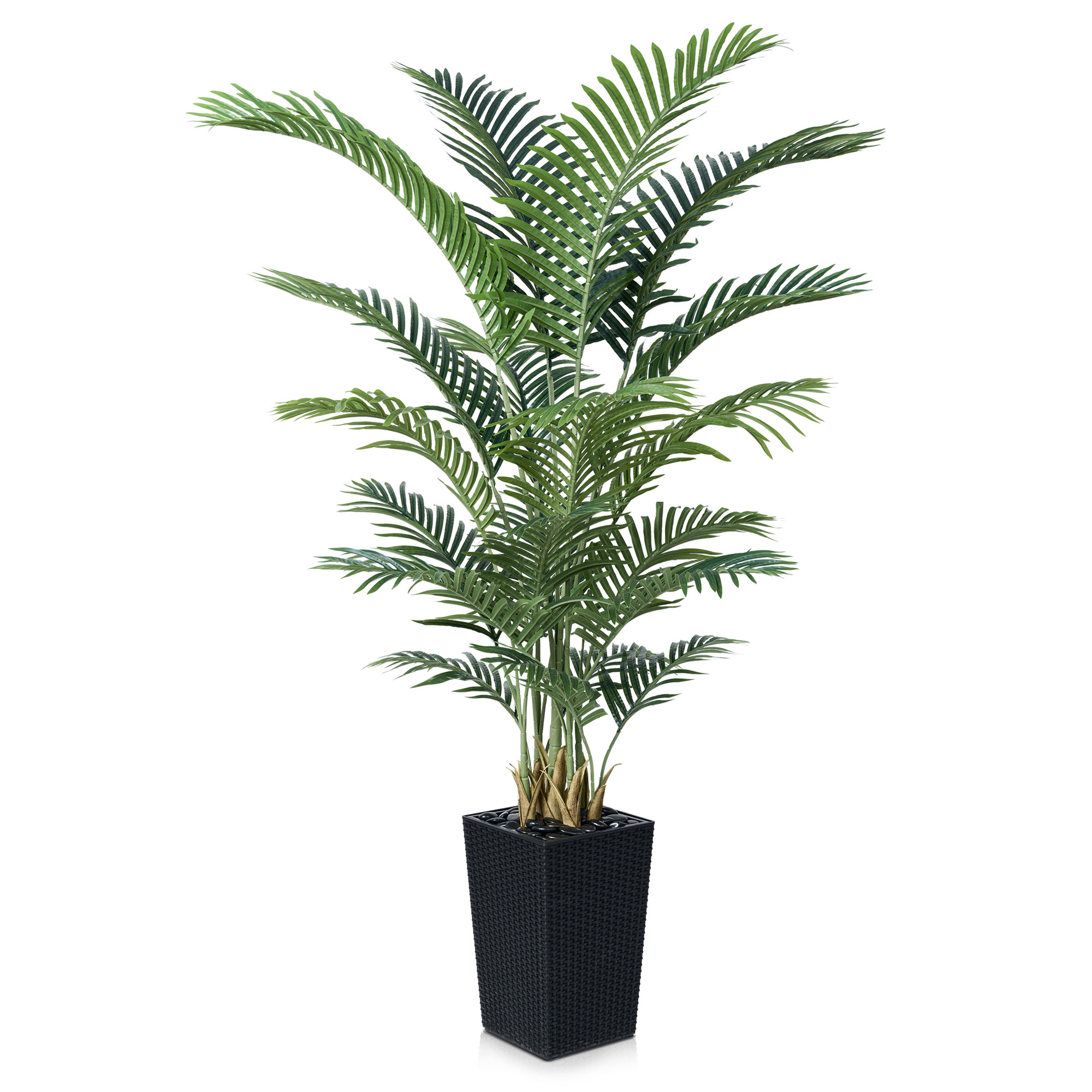 Aliza UV Resistant Artificial Palm Tree, Faux Palm Tree with Decorative Base for Indoor Outdoor, Black, 72" H x 24" W x 24" D
