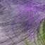 Premium Machine Washable Cerrito AMF513 Purple 2'6" x 3'10" Rug-103833221