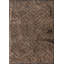 Rapture Abstract Area Rug in Brown-996544571