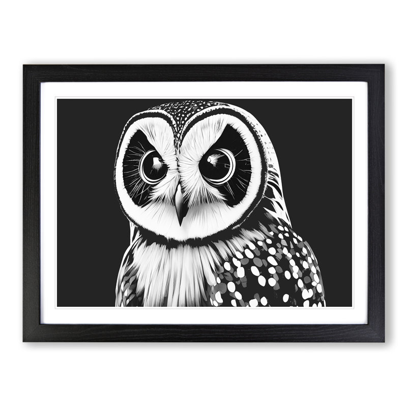 XH1022-6550X Owl Portrait Monochrome Vol.2 - Single Picture Frame Print, 25cm H x 34cm W x 2cm D, Black