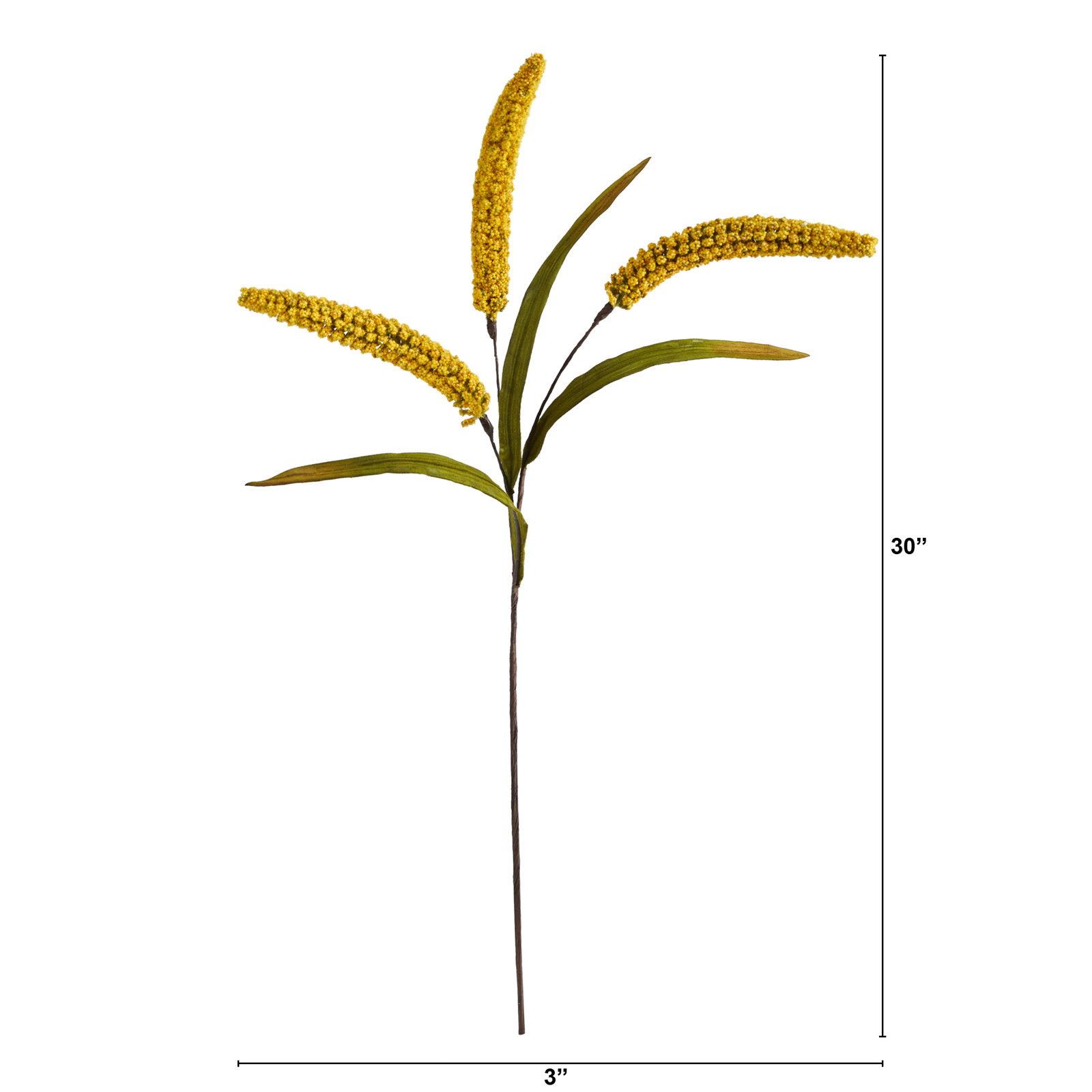 Sorghum Arrangement, Yellow