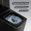 1.98 Gallons Per Minute GPF Elongated Height Floor Mounted One-Piece Black Toilet (Seat Included)