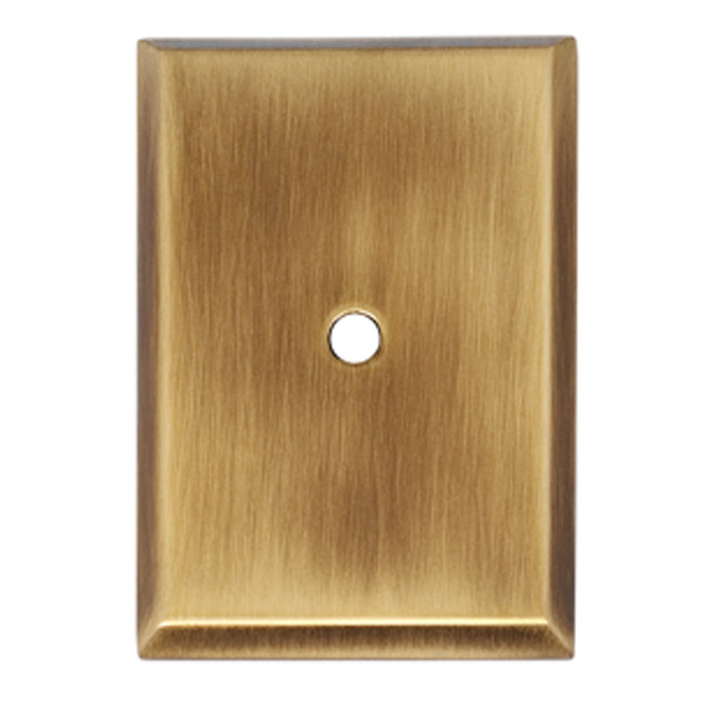 Plaque arrière, Antique anglais, H 2,63 po x l 1,75 po x P 0,13 po