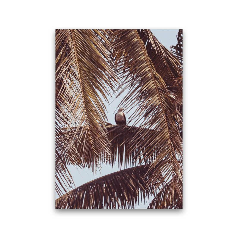 Eagle by Victoria Frost - Print, 59cm H x 42cm W x 1cm D, Unframed