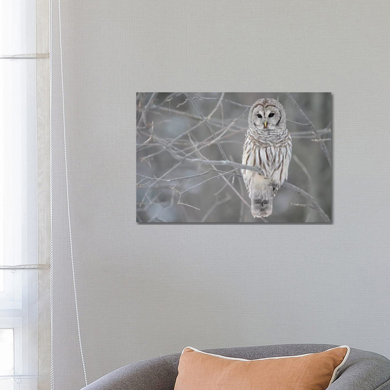 Christmas Lane by Carol Robinson - Painting on Canvas, 66.04 cm H x 45.72 cm W x 1.91 cm D, Wrapped Canvas
