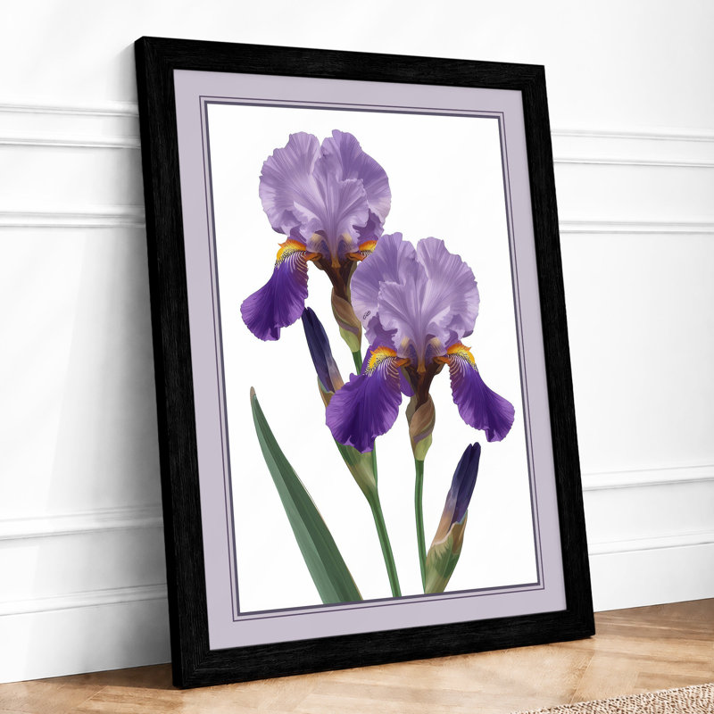 Twin Irises Botanical - Framed Print, A1 - 84.1 x 59.4 cm, Black