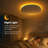 12in Round LED Ceiling Light, Ultra-Thin Dimmable 3000-6500K, Smart Control Flush Mount Fixture