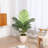 Adcock Artificial Majesty Palm Tree in Pot-2141281222