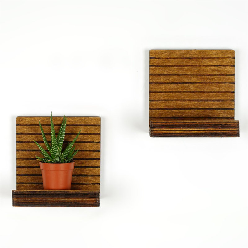 Colesen Stylish Wall Shelf (2 Pieces), Walnut Finish, 5.1 x 5.1 x 2.8 inches | 100% Plywood, Thickness: 0.3 inches | Modern Rustic Design Perfect for Home Décor, Versatile Storage and Display Solution