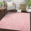 Madison Shag Solid Colour Synthetic Area Rug-39723819