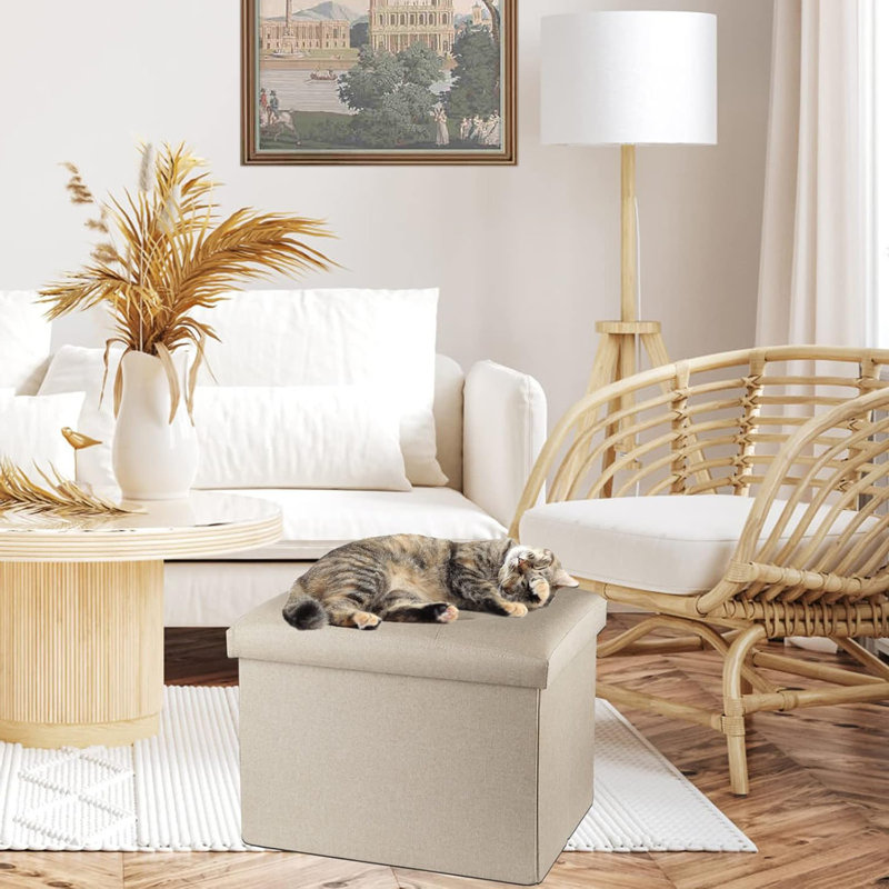 Latitude Run® Foldable Ottoman Foot Rest Footstool Bench For Living Room With Storage: Compact Ottoman With Storage, Beige