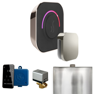 Ensemble de commande de douche à vapeur ButlerTouch avec contrôle TempoTouch et tête de vapeur