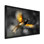 Yellow Black Rhythms Of The Rainforest Bird I - Bird Wall Decor