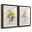Canari lin géranium - ensemble de 2 reproductions d'art-755692021-755692029-755691910
