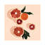 Grapefruit by Bria Nicole - Print on Canvas-1229982456-1229982463
