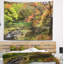 Paysage avec des arbres aux couleurs vives-28491815