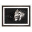 Portrait of a Proud Lion - Picture Frame Graphic Art Print-56861494-56861495