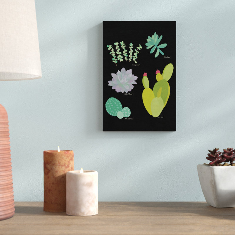 « succulent plante chart iii », reproduction d’art sur toile tendue, H 40 po x l 26 po x P 1,5 po