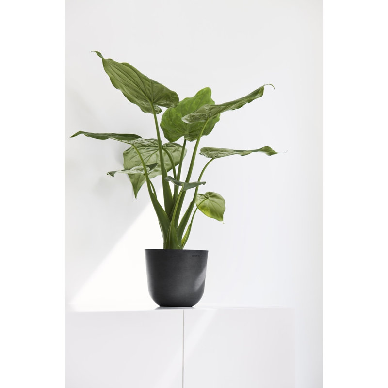 Ecopots Oslo Indoor/Outdoor Modern Recycled Plastic Flower Pot Planter, White Gray, 12" H x 14" W x 14" D